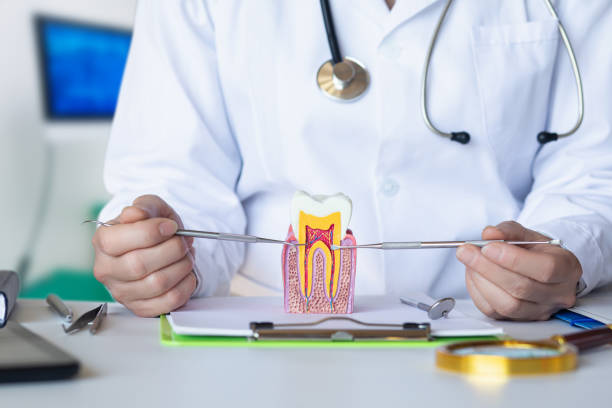 Best Knocked-Out Tooth (Avulsed Tooth) Treatment in Mckee City, NJ